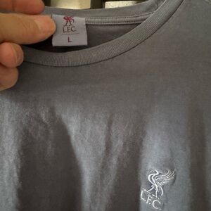 Liverpool FC Gray Crewneck Tee with Embroidered Crest